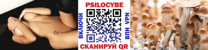хочу Высоковск Галлюциногенные грибы Cubensis